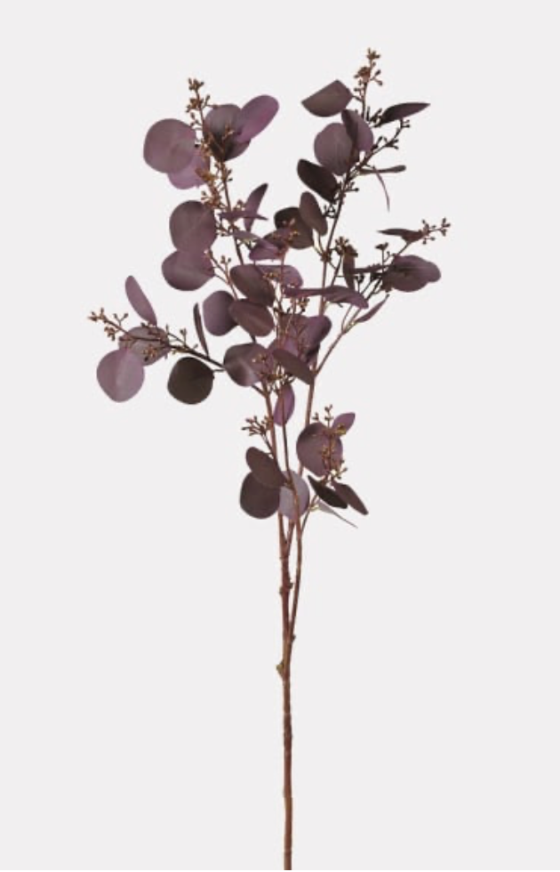 Large Deep Aubergine Eucalyptus Spray with Seeds