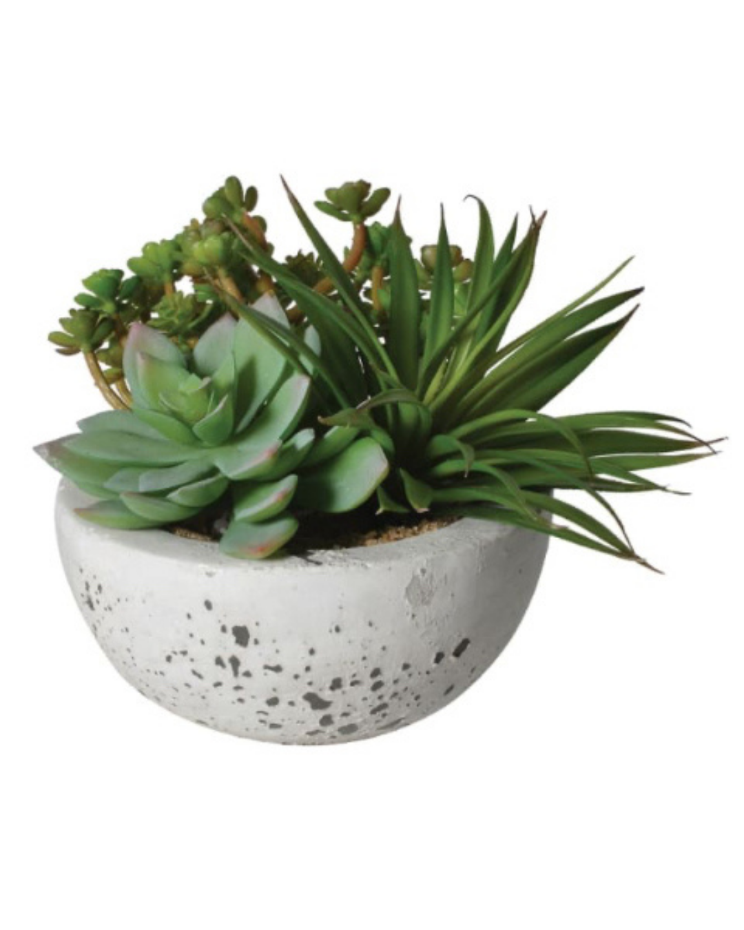 Assorted Faux Green Succulents Arrangement in Grey Cement Bowl