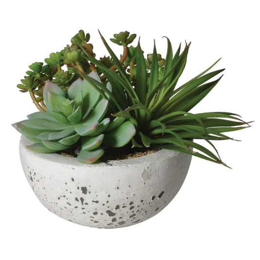 Assorted Faux Green Succulents Arrangement in Grey Cement Bowl