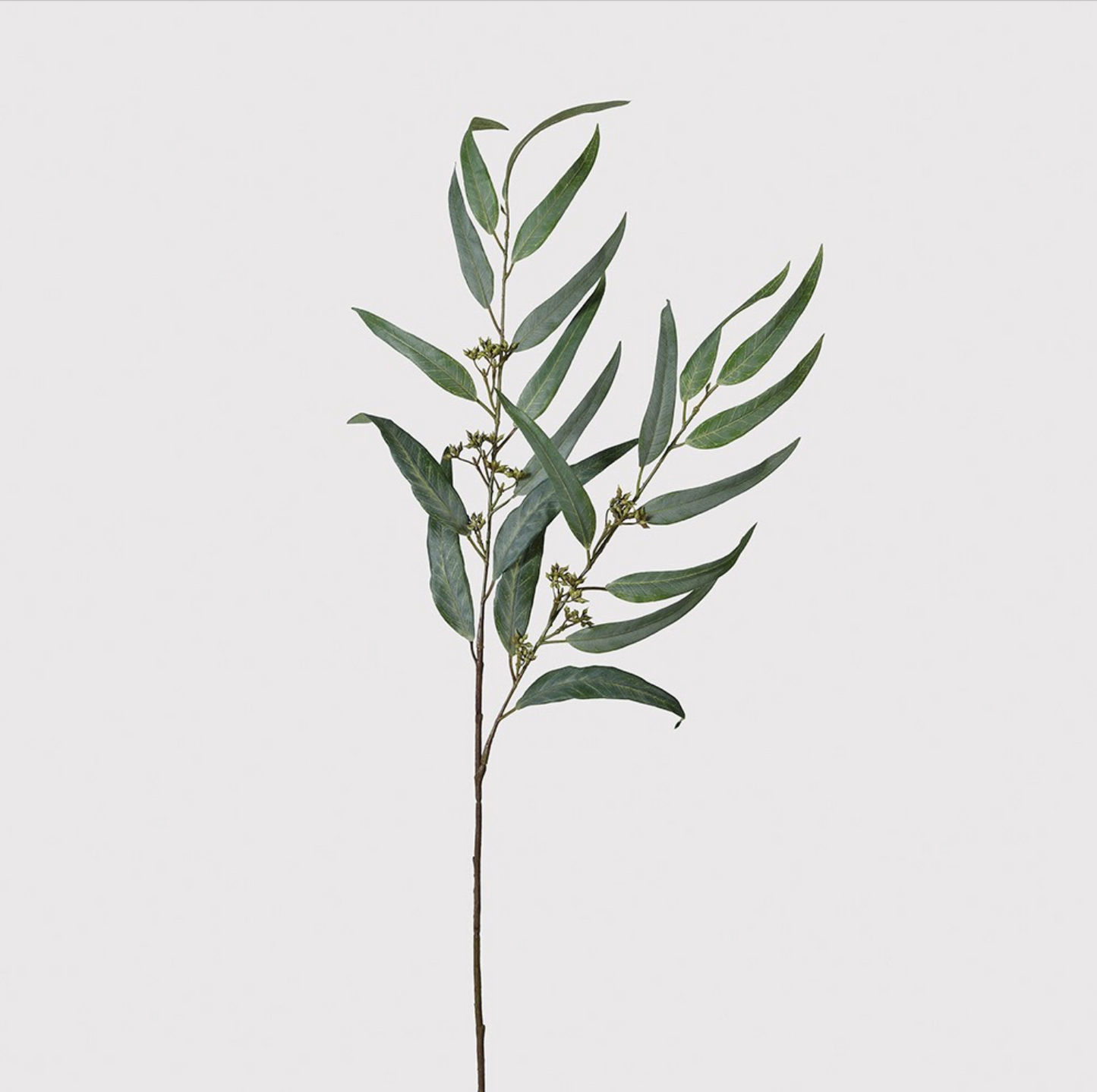 Green Willow Eucalyptus Spray