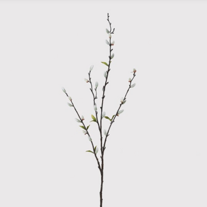 Natural Pussy Willow