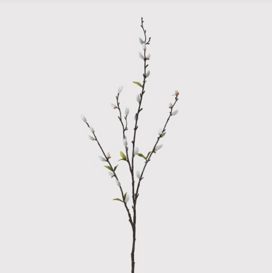 Natural Pussy Willow