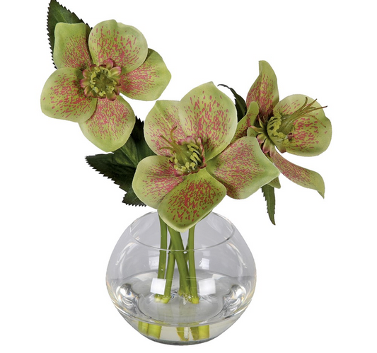 Hellebore Pick Floral