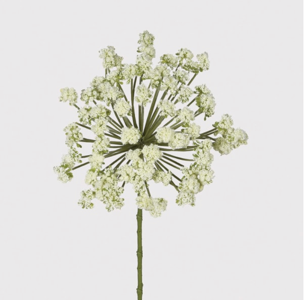 Green Angelica Spray