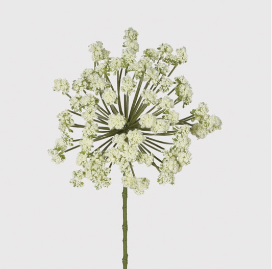 Green Angelica Spray