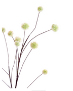 Faux Allium Ball Stem