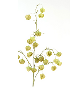 Faux Physalis Branch Stem