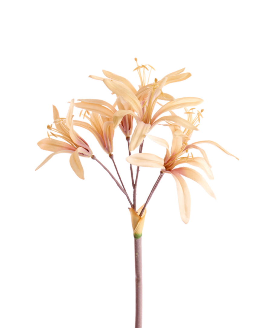 Faux Lycoris Stem