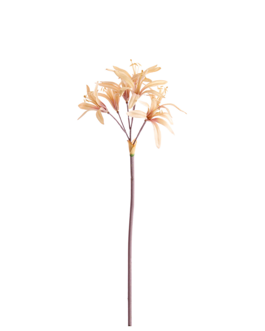 Faux Lycoris Stem