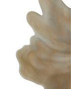 Galene Fluted Natural Glass Plate